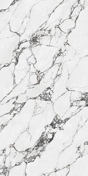 寶格麗黑（20mm-70°白對(duì)位通體）